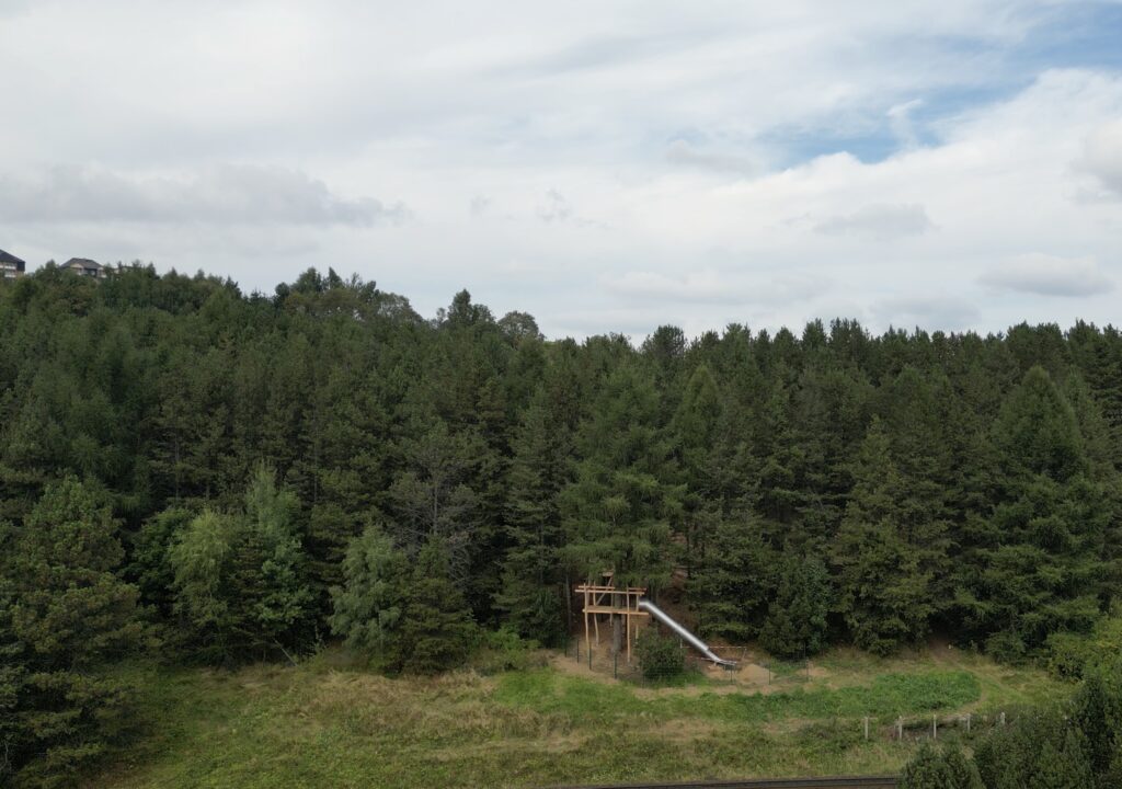 Oberwiesenthal wächst um eine Attraktion: Ein Niedrigseilgarten entsteht im stadtnahen Waldgebiet unterhalb des Sparingberges und lädt schon bald Einheimische wie Gäste zum spielerischen Naturerlebnis ein.
